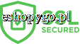 Secure Icon
