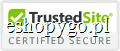 Secure Icon
