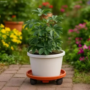 Podstawka pod rośliny doniczkowe na kółkach PLANTMOVE